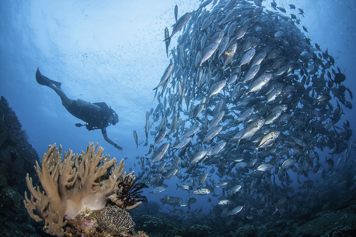 Raja Ampat